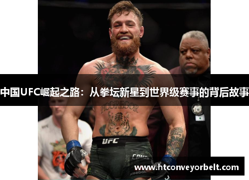 中国UFC崛起之路：从拳坛新星到世界级赛事的背后故事